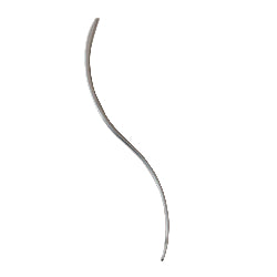 Double-Curved Post-Mortem Needle 2 1/4"