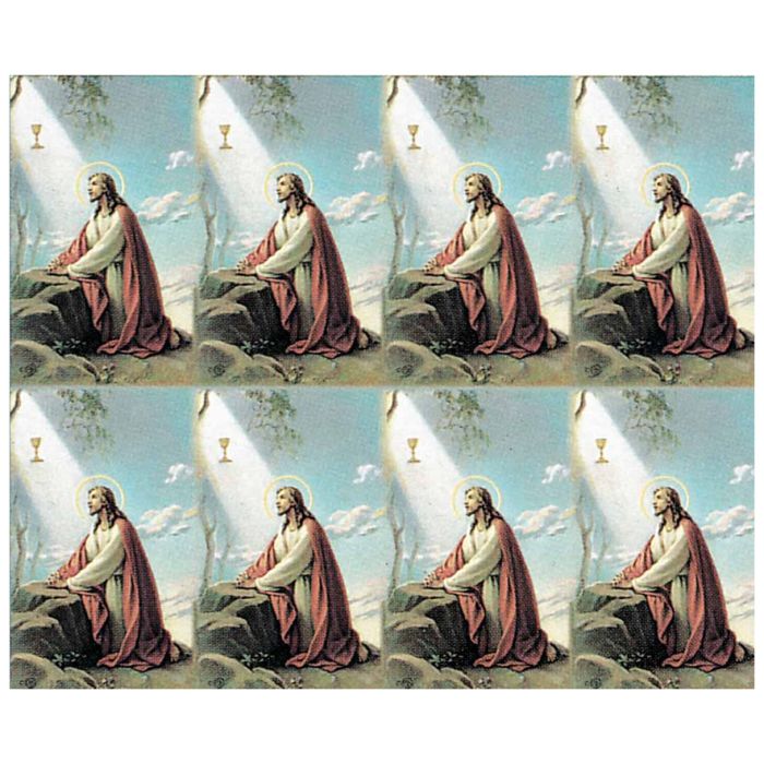 Christ in the Garden Holy Cards