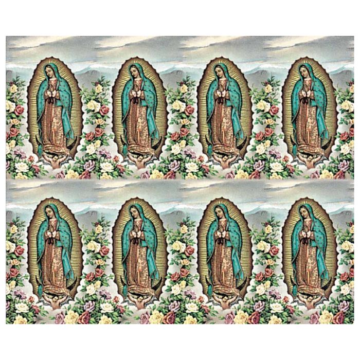 Our Lady of Guadalupe Holy Cards