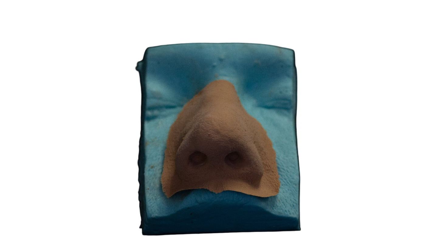 PMRC Prosthetic Nose