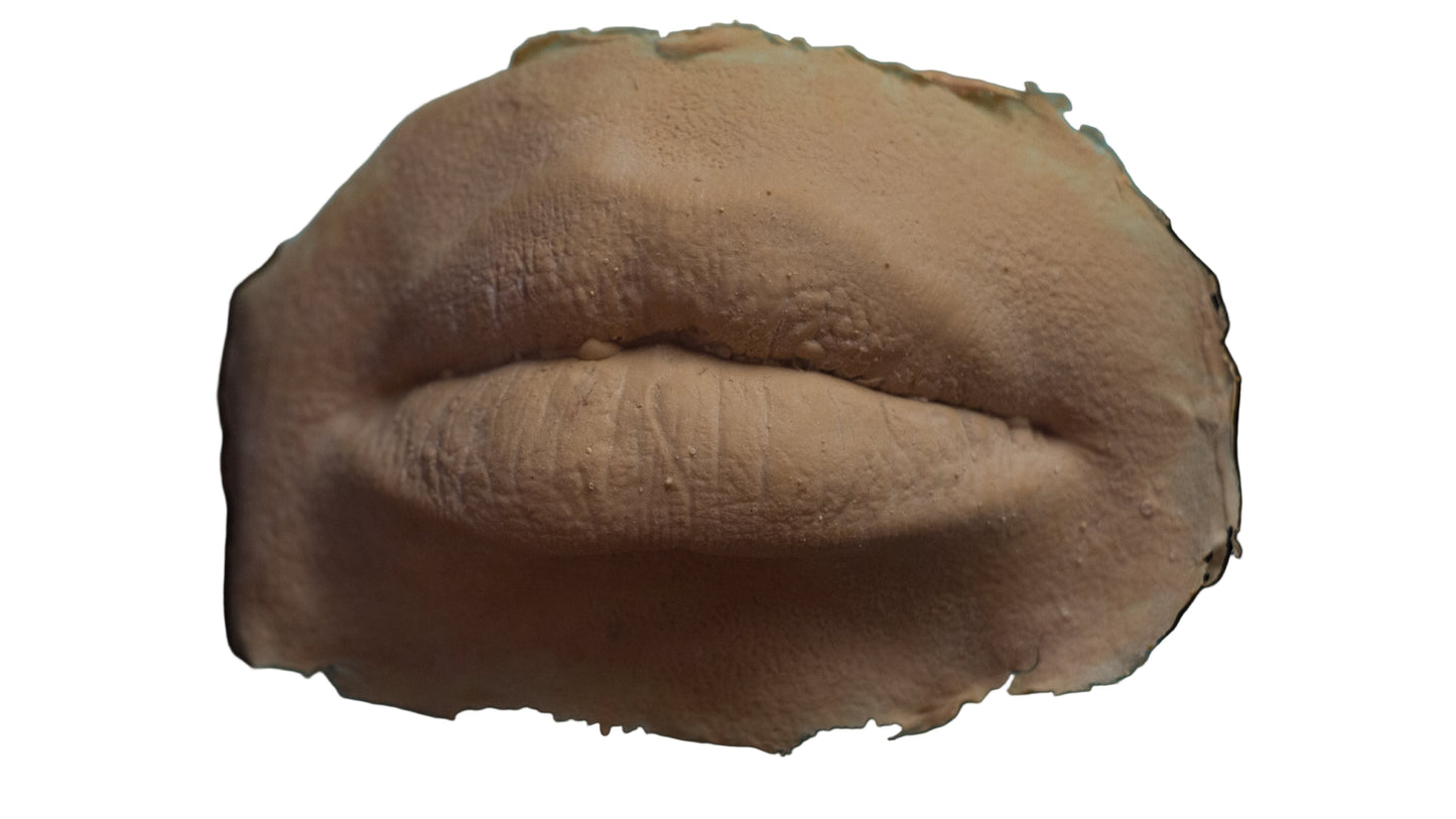 PMRC Prosthetic Lips