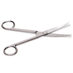 Curved Surgical Scissor