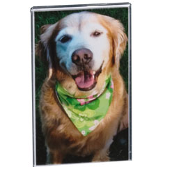 Acrylic Photo Frame