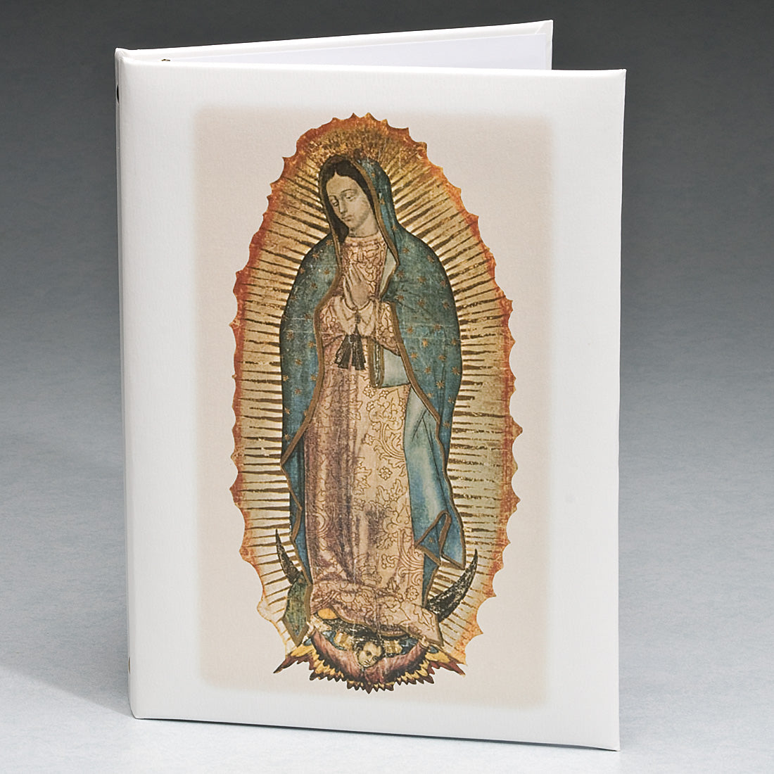 Lady of Guadalupe Series