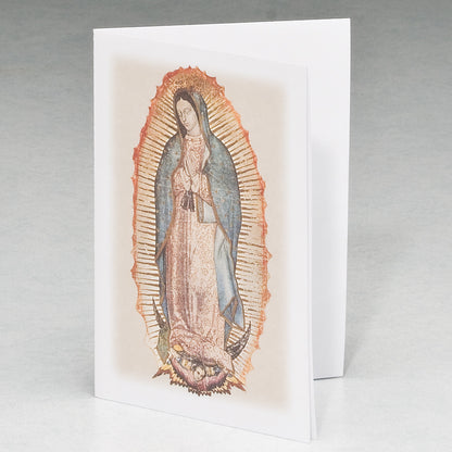 Lady of Guadalupe Boxed Set