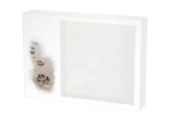 Remembrance Shadowbox - Pawprints in the Sand  70 cu. in.