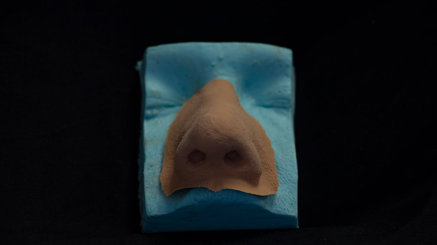 PMRC Prosthetic Nose