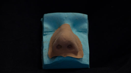 PMRC Prosthetic Nose