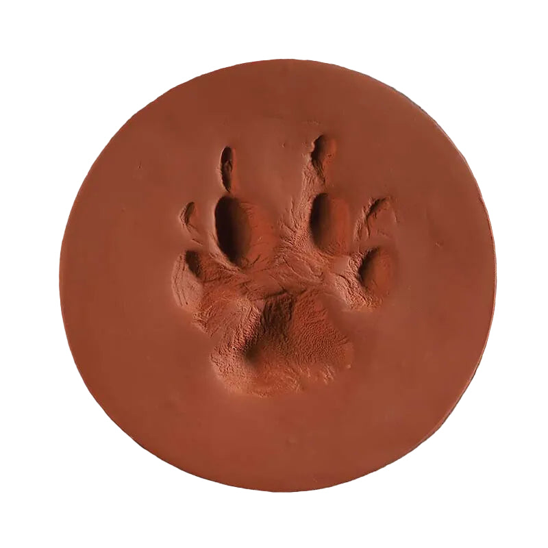 ClayPaws Kit