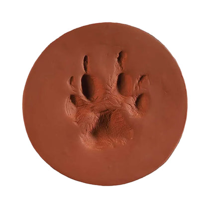 ClayPaws Kit
