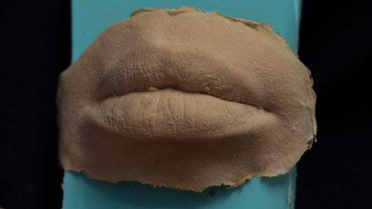 PMRC Prosthetic Lips