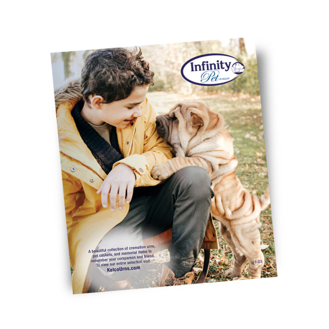 Infinity Pet Tri-Fold Marketing Tool